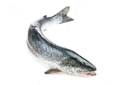 Fisk Test